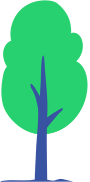 Shape 1